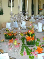 /album/fotogaleria/dsc05185-jpg/